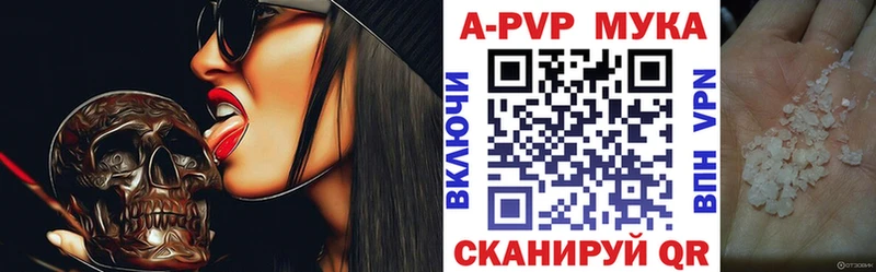 A-PVP СК КРИС Волхов