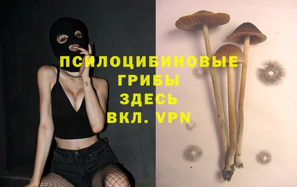 дурь Алзамай
