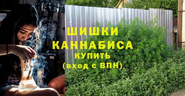 дурь Алзамай