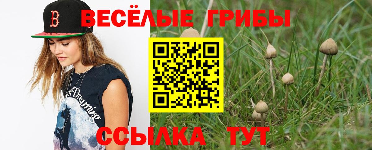 Галлюциногенные грибы прущие грибы  Вход с VPN  Псилоцибиновые грибы Psilocybine cubensis  Волхов 