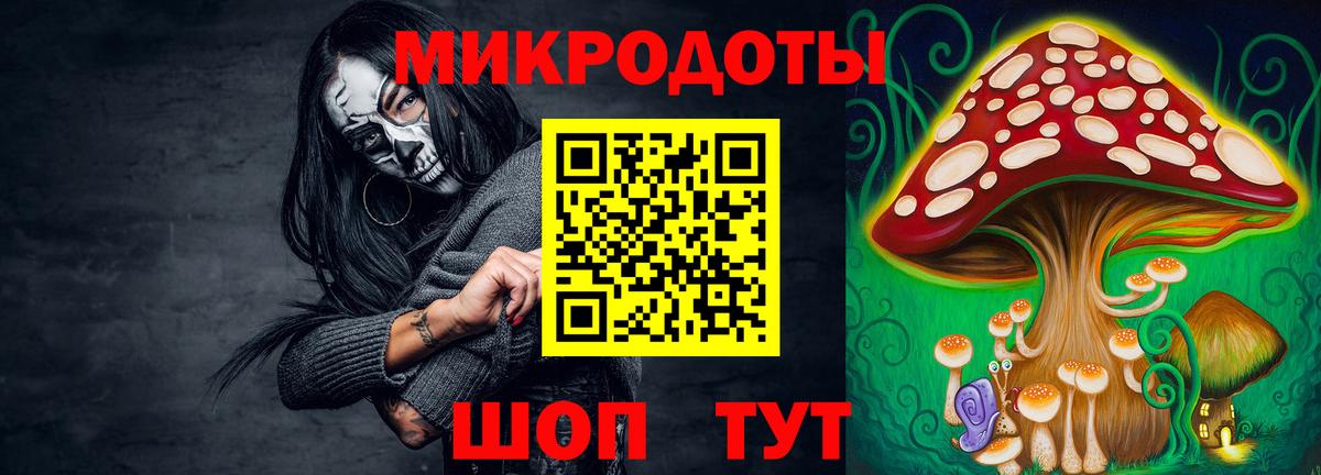Псилоцибиновые грибы мухоморы Волхов
